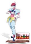 Hunter x Hunter - Hisoka akril dekor 